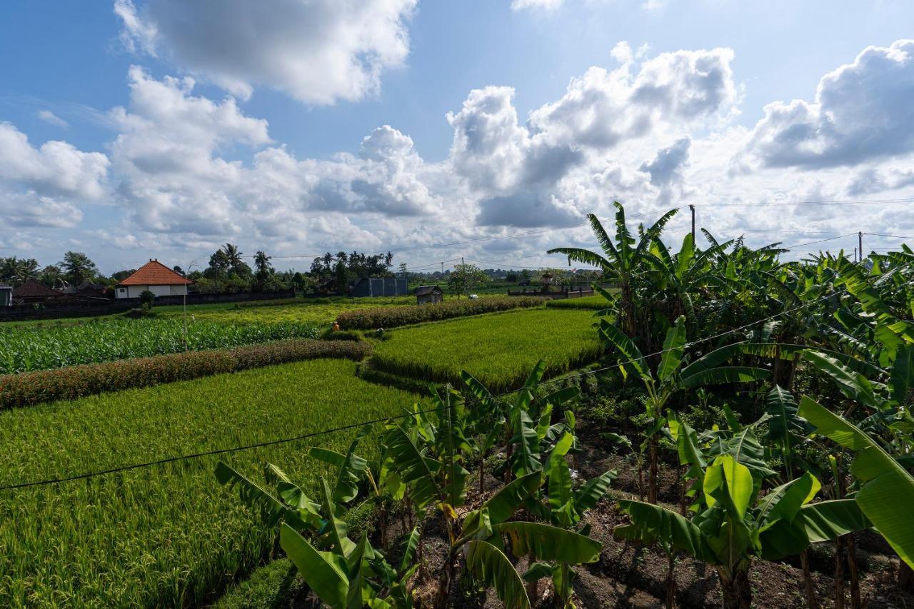 Vila Oemah Joglo Bali Ubud Exteriér fotografie