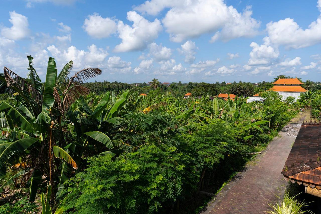 Vila Oemah Joglo Bali Ubud Exteriér fotografie