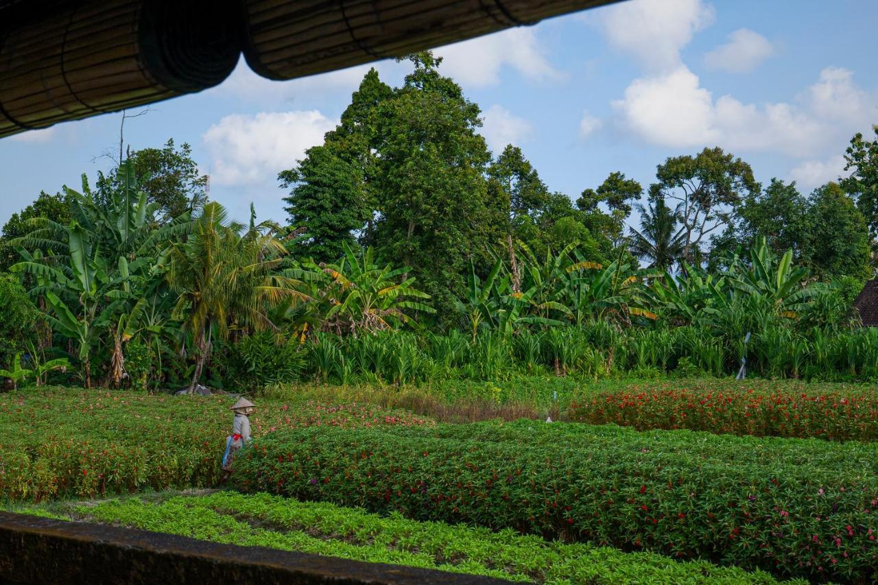 Vila Oemah Joglo Bali Ubud Exteriér fotografie